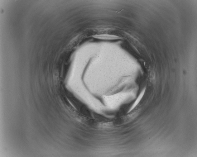 X0000071810283200607290000