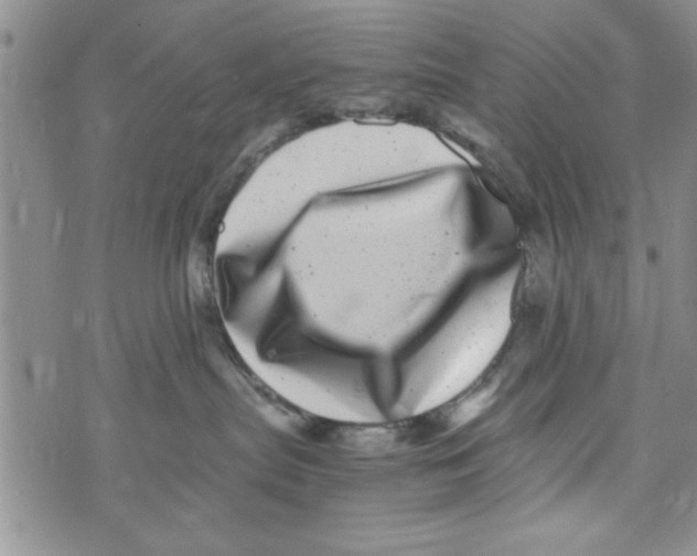 X0000071810287200607290000