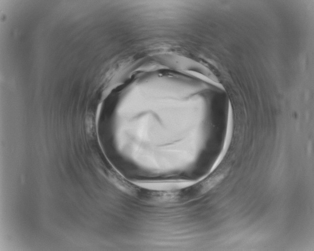 X0000071810288200607290000