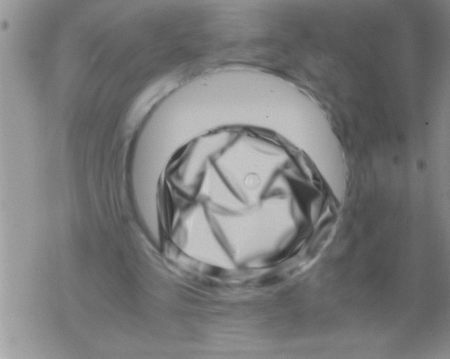 X0000071810293200607282359