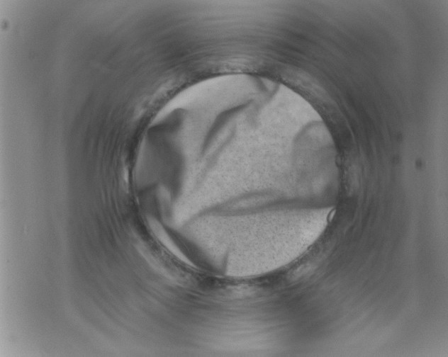 X0000071810310200607282359