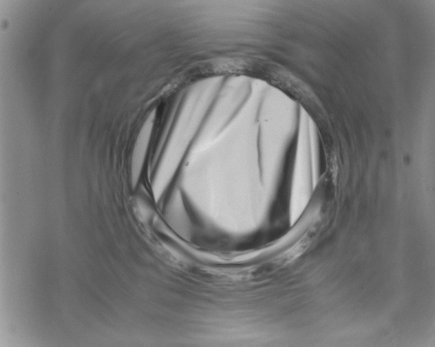 X0000071810329200607282359