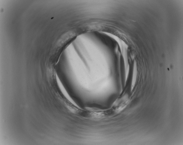 X0000071810333200607282359