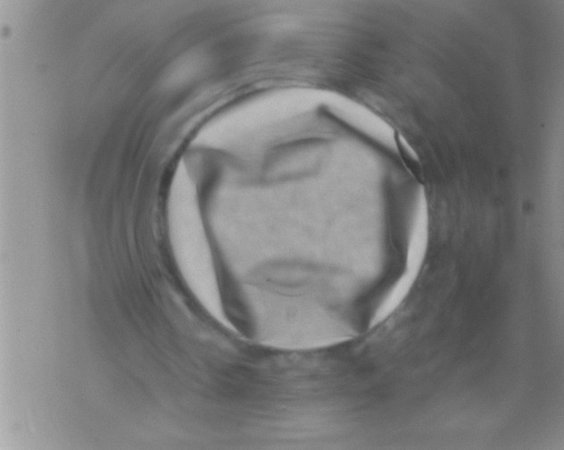 X0000071810338200607282358