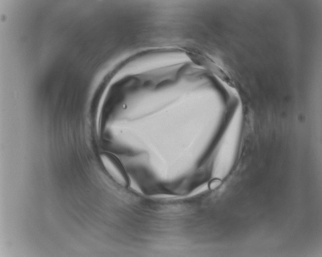 X0000071810342200607282358