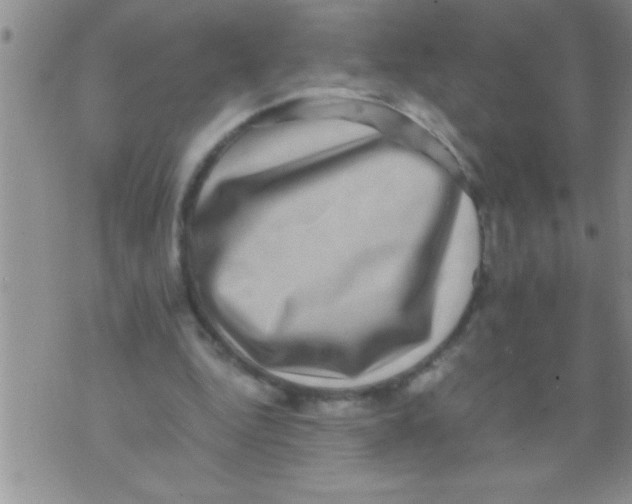 X0000071810344200607282358