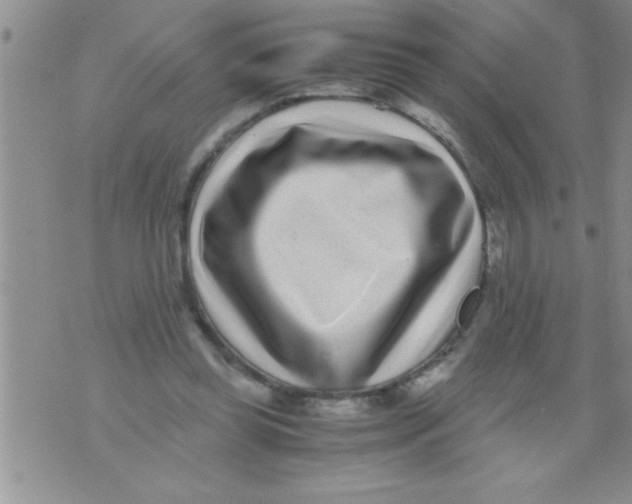 X0000071810349200607282358