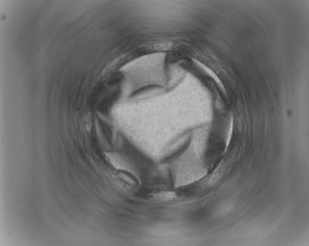 X0000071810374200607282358