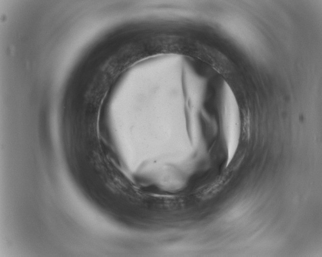 X0000071810383200607282358