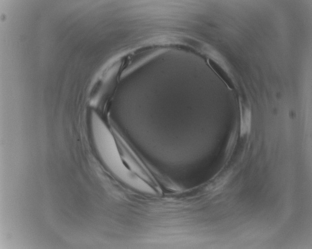 X0000071810387200607282358