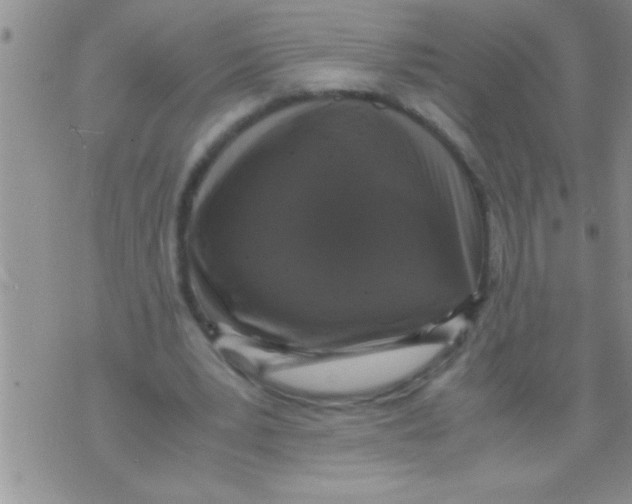 X0000071810391200607282358
