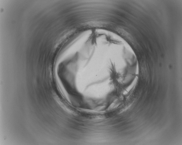X0000071810398200607282357