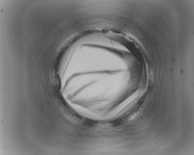 X0000071810403200607282357