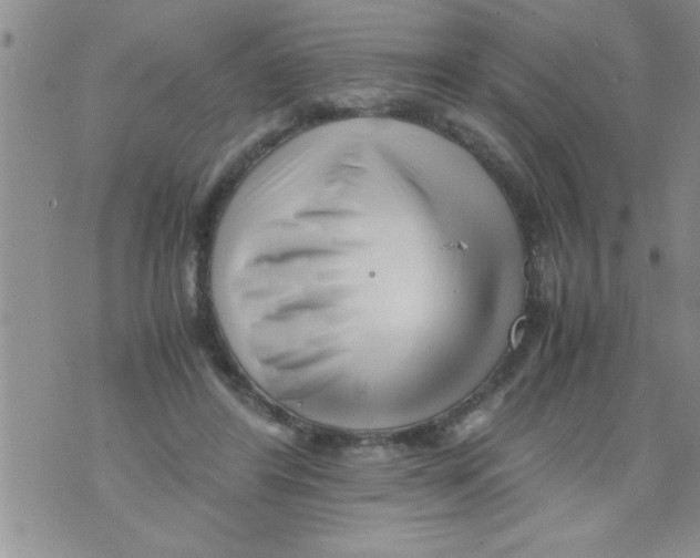 X0000071810404200607282357
