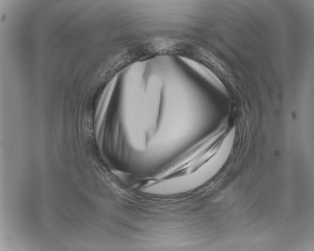 X0000071810421200607282357