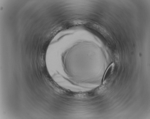 X0000071810422200607282357