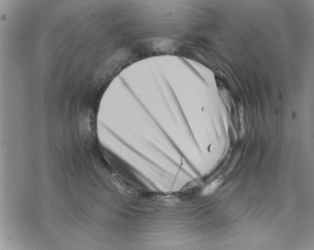 X0000071810424200607282357