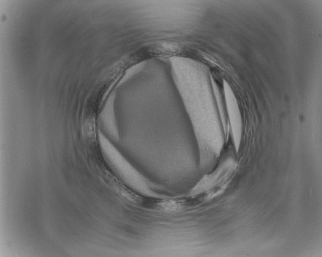 X0000071810425200607282357