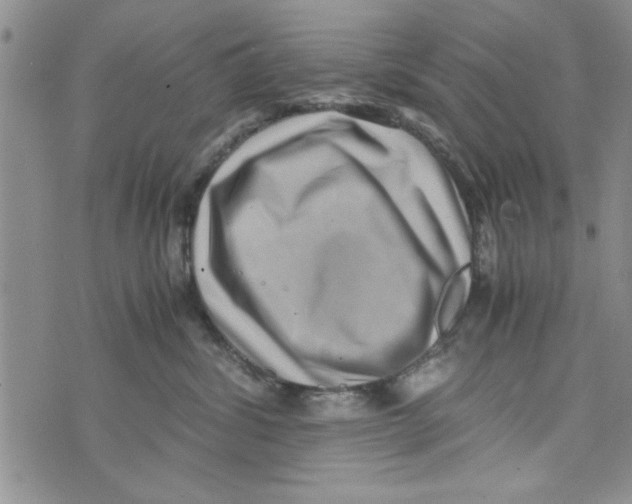 X0000071810428200607282357