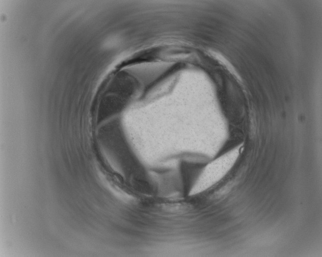X0000071810439200607282356