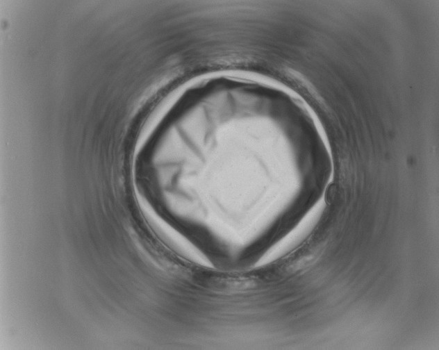 X0000071810443200607282356