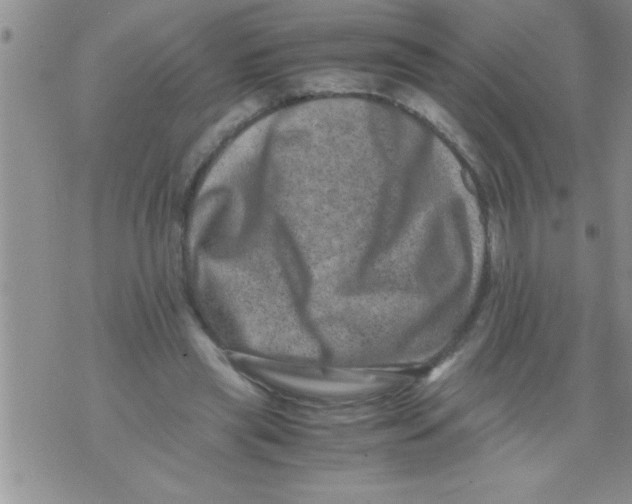 X0000071810445200607282356