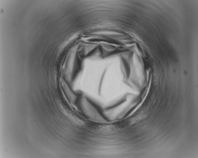 X0000071810446200607282356