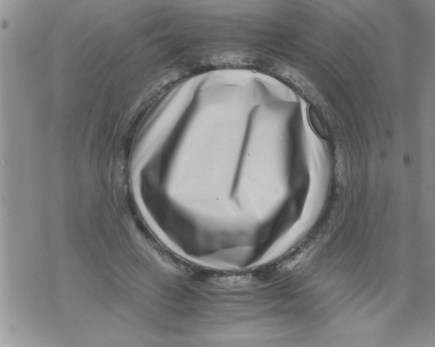 X0000071810449200607282356