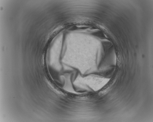 X0000071810454200607282356