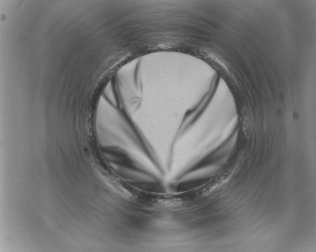 X0000071810455200607282356
