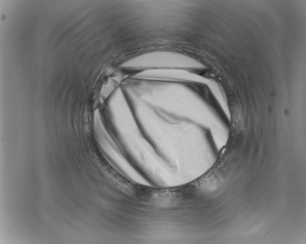 X0000071810470200607282357