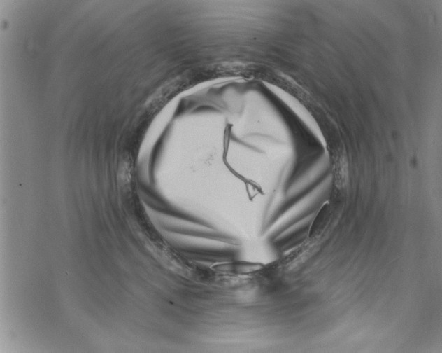 X0000071810472200607282357