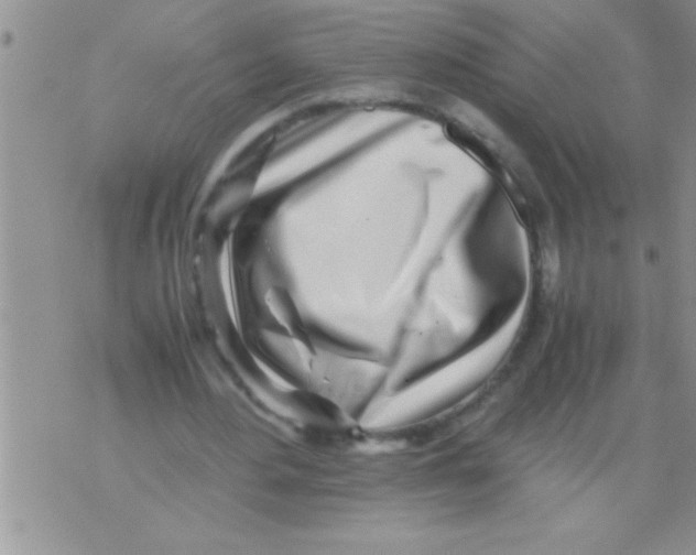 X0000071810484200607282356