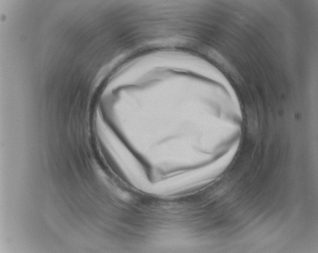 X0000071810486200607282356