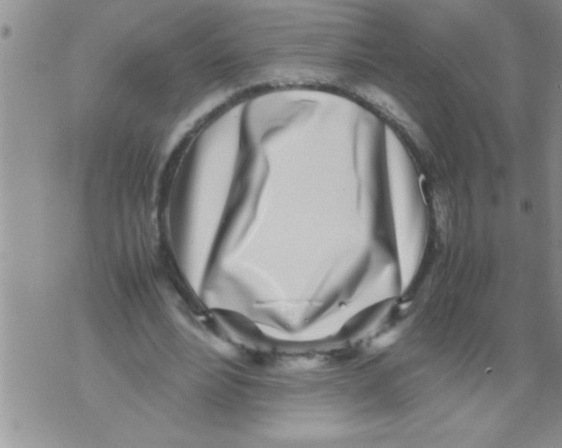X0000071810488200607282356