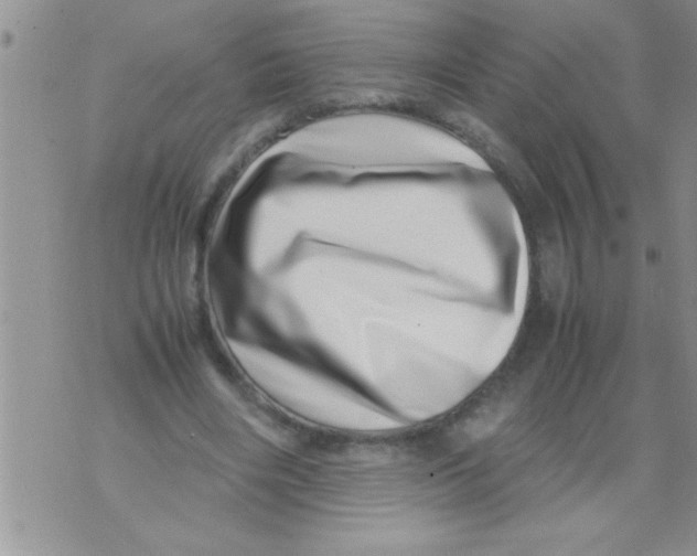 X0000071810490200607282356