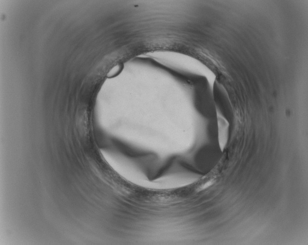 X0000071810498200607282356
