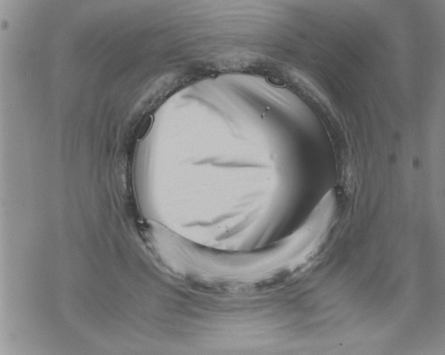 X0000071810501200607282356