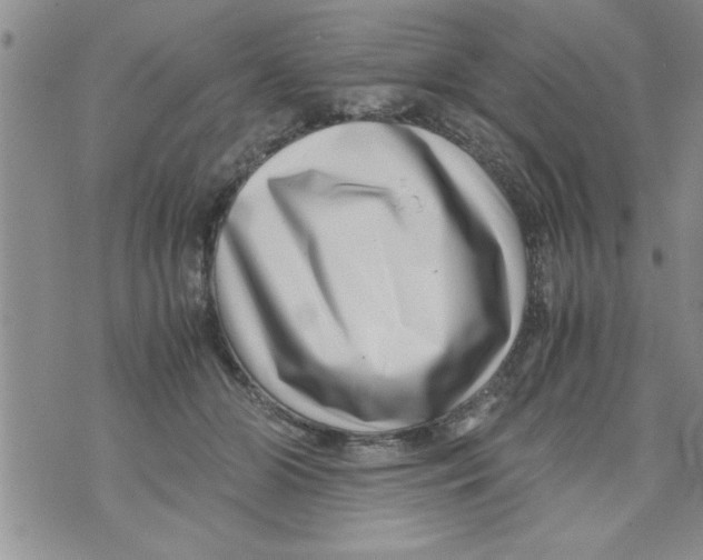 X0000071810510200607282356