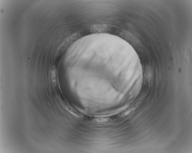 X0000071810526200607282355