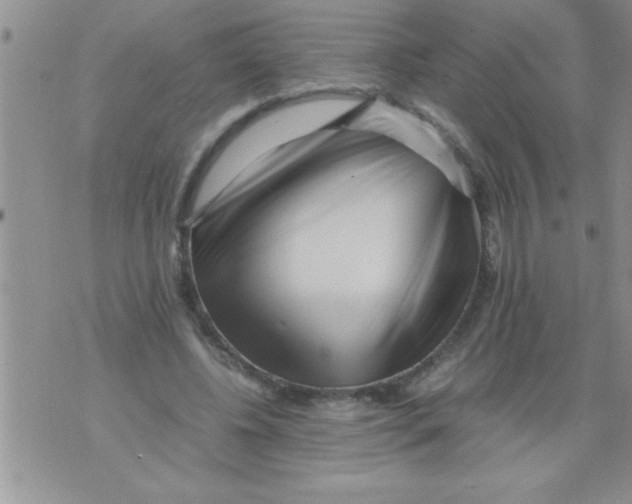 X0000071810540200607282355