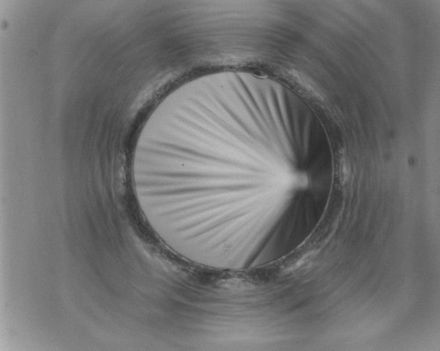 X0000071810544200607282355