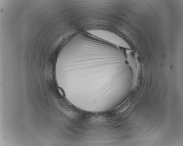 X0000071810547200607282355