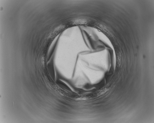 X0000071810551200607282355