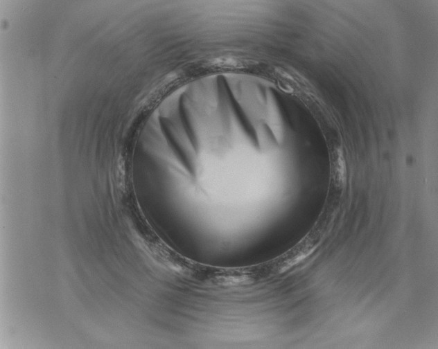 X0000071810552200607282355