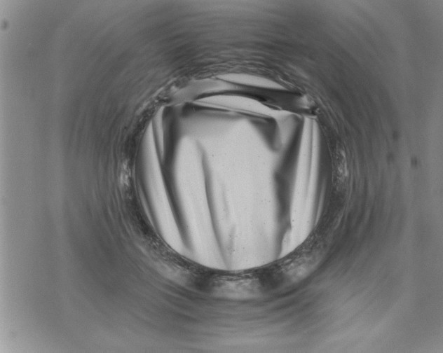 X0000071810555200607282355