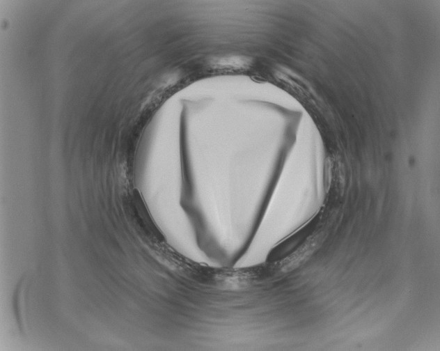 X0000071810564200607282355