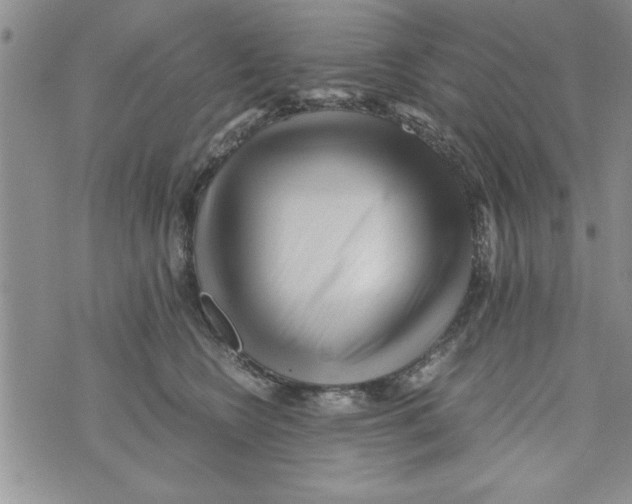 X0000071810566200607282355