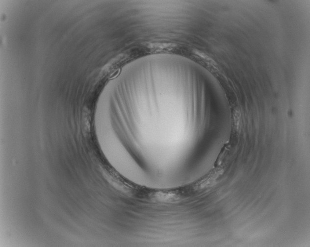 X0000071810570200607282355