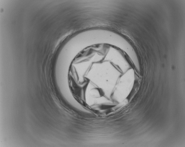 X0000071810587200607282354
